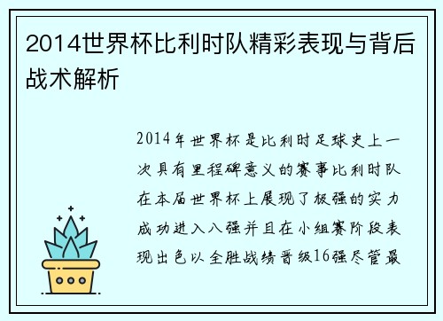 2014世界杯比利时队精彩表现与背后战术解析